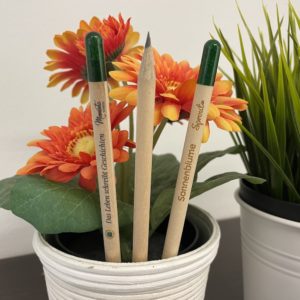 2er Set Meminto Bleistift mit Blumensamen