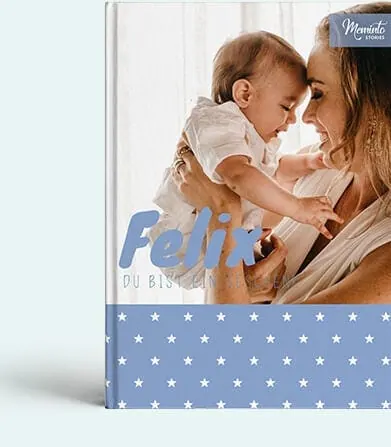 Felix - the Childhood Book