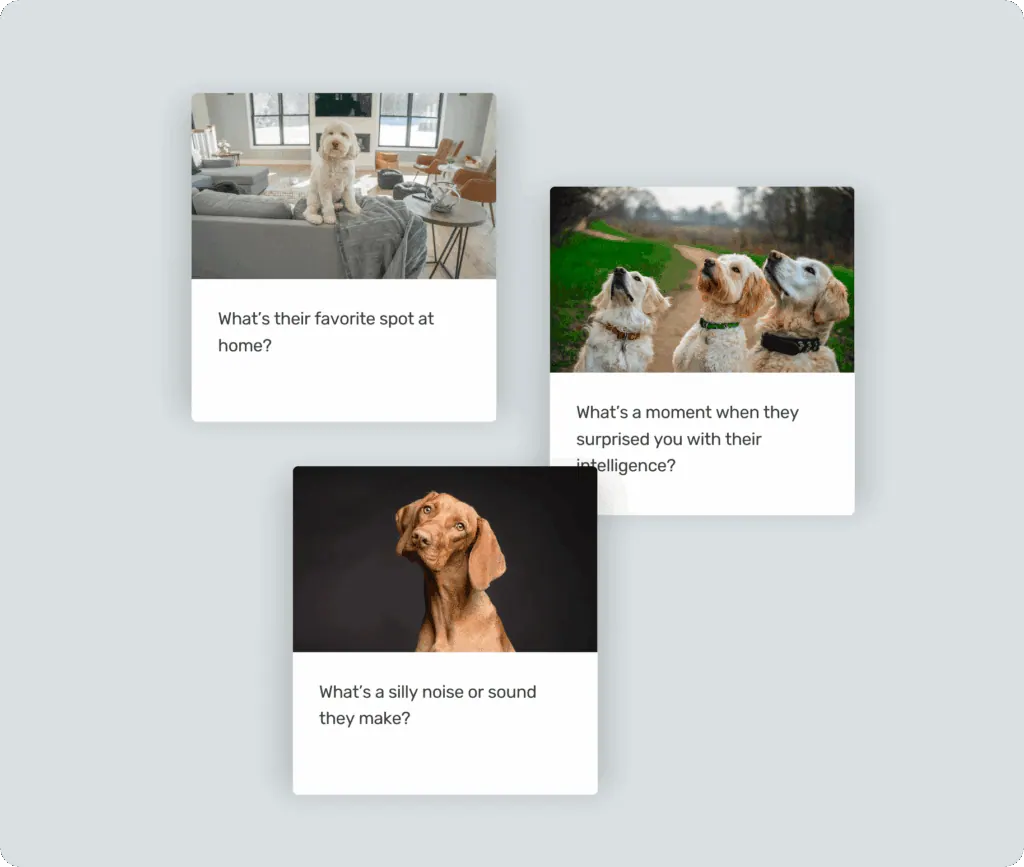 Three sample question cards about a dog, each pairing a dog photo with a writing prompt