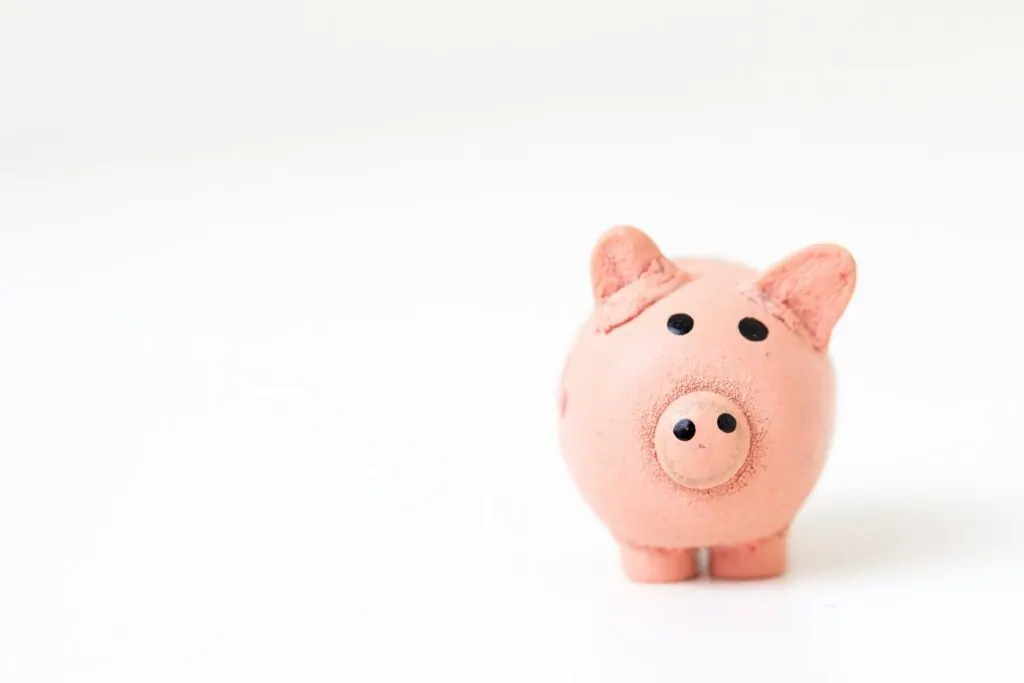 Small pink piggy bank standing on a plain white surface