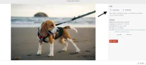 Media library editing panel with rotate buttons next to a photo of a dog on the beach