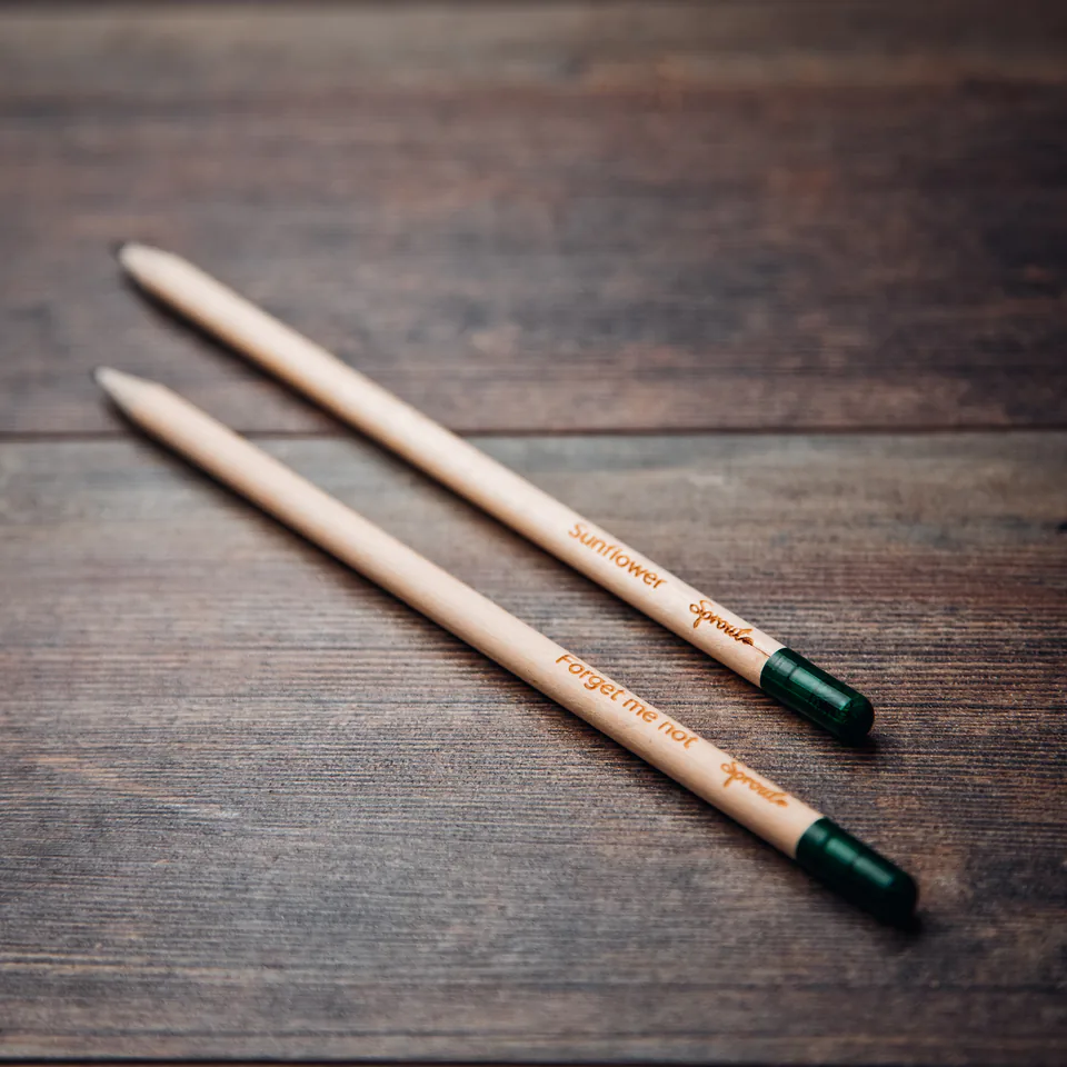 Set of 2 Meminto pencils with flower seeds