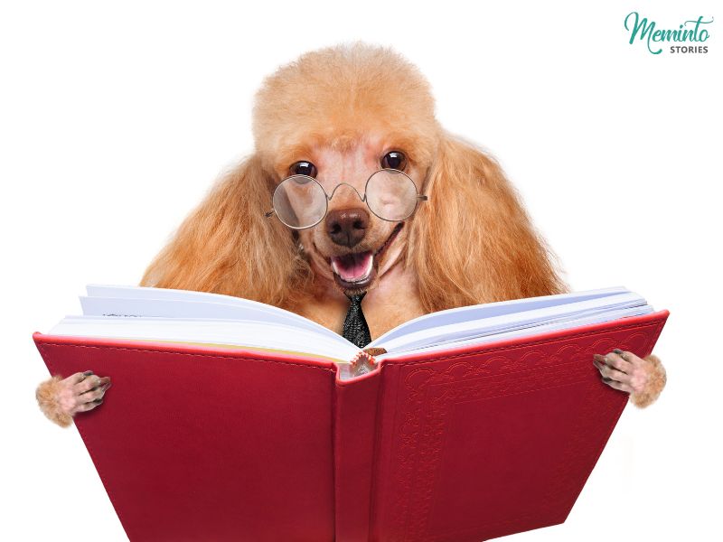 How to Write a Keepsake Memory Book for Your Dog